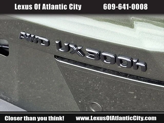 2025 Lexus UX Hybrid 300h Premium - Photo 31