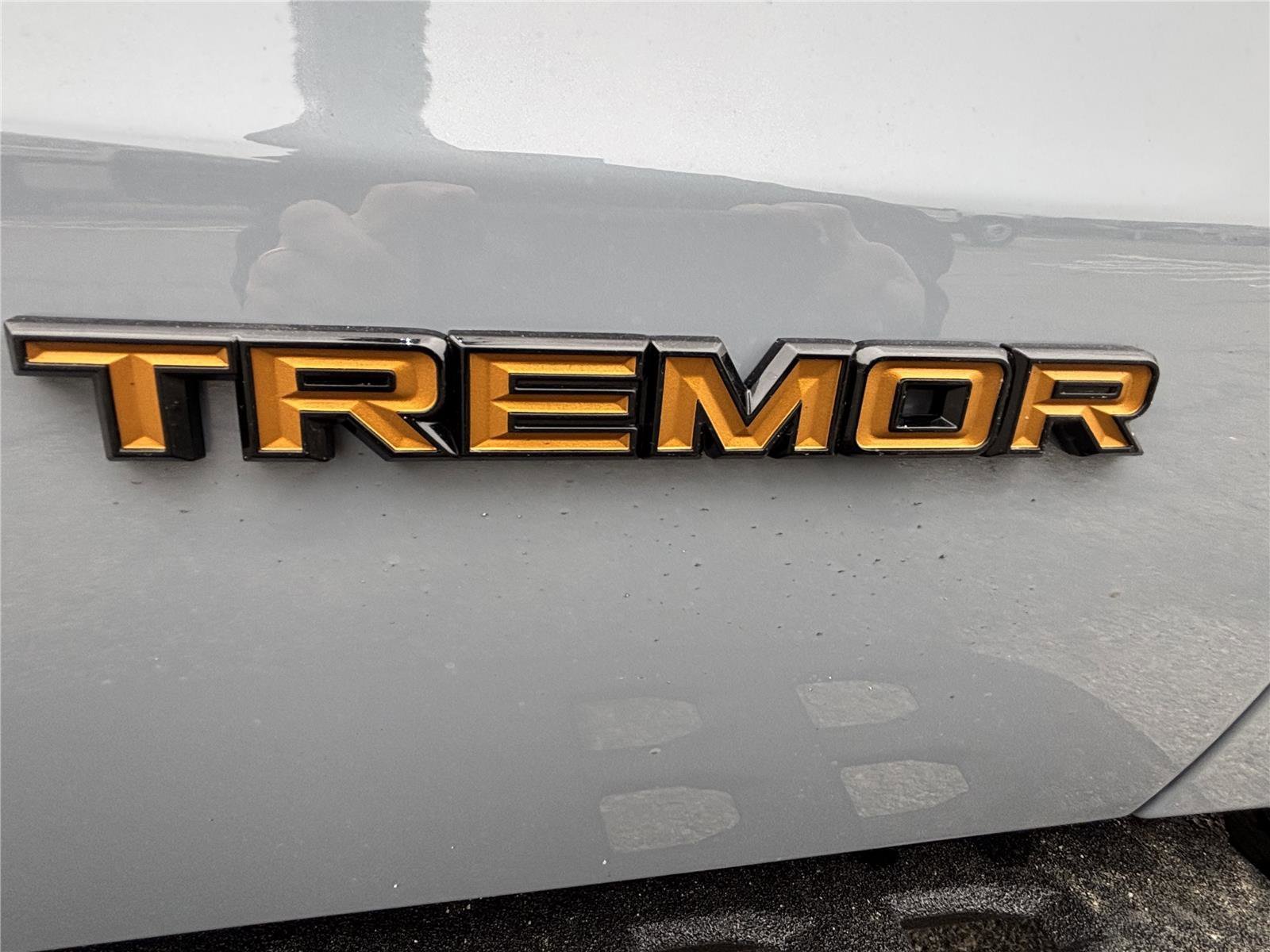 2025 Ford Expedition Tremor - Photo 14