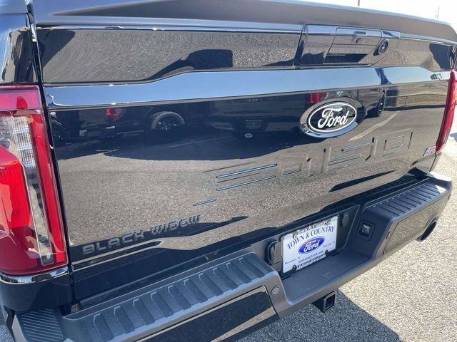 New 2026 Agate Black Metallic Ford Black Widow image 14