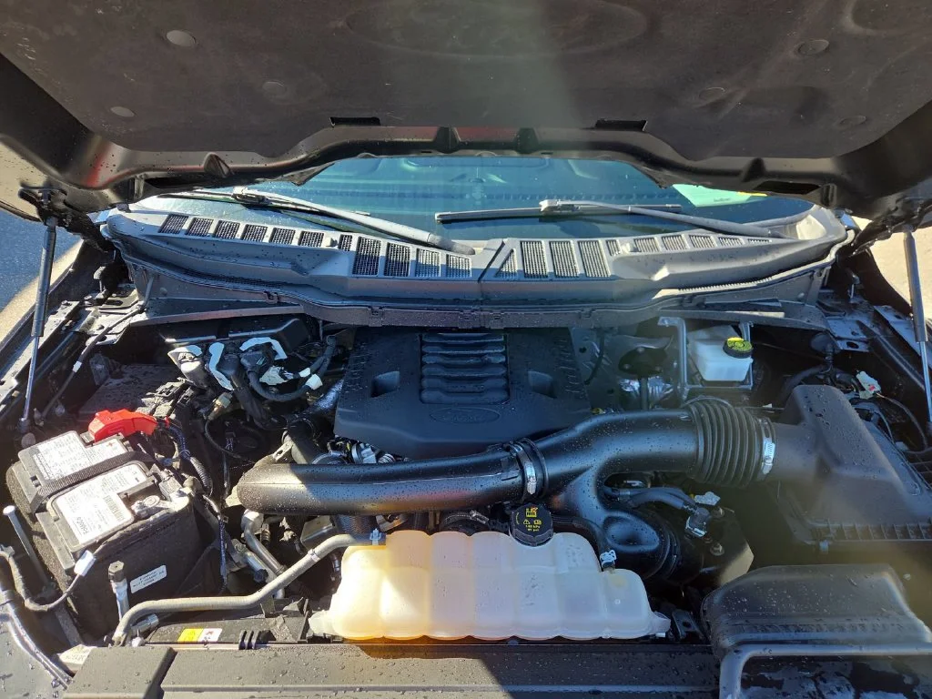Used 2023 Black Ford Platinum image 23