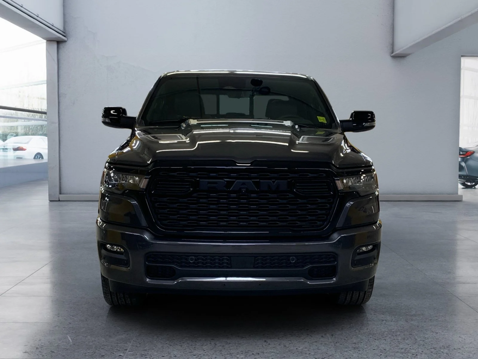 New 2026 Granite Crystal Metallic Ram Sport image 8