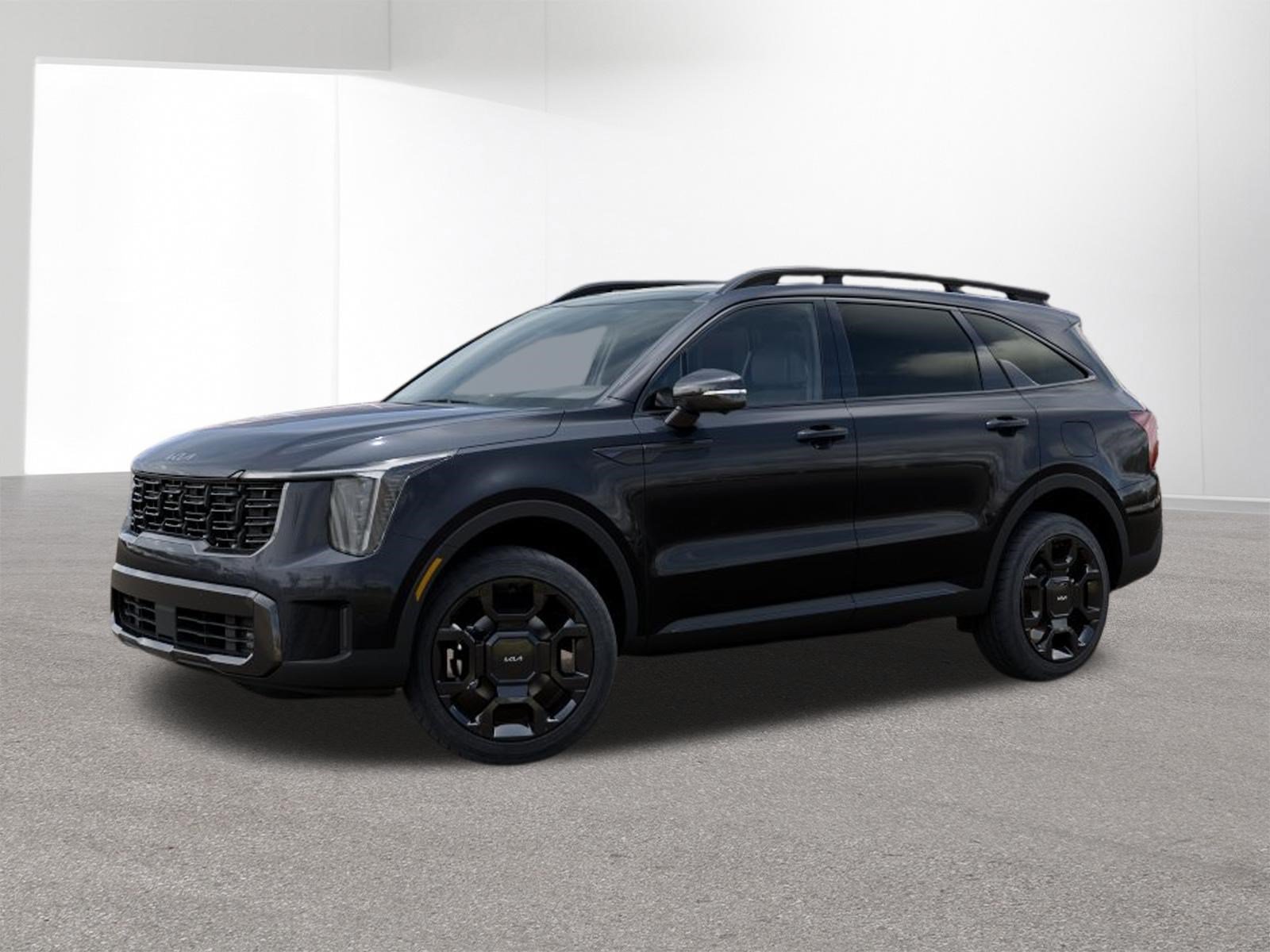 New 2026 Panthera Metal Kia X-Line SX Prestige AWD image 29