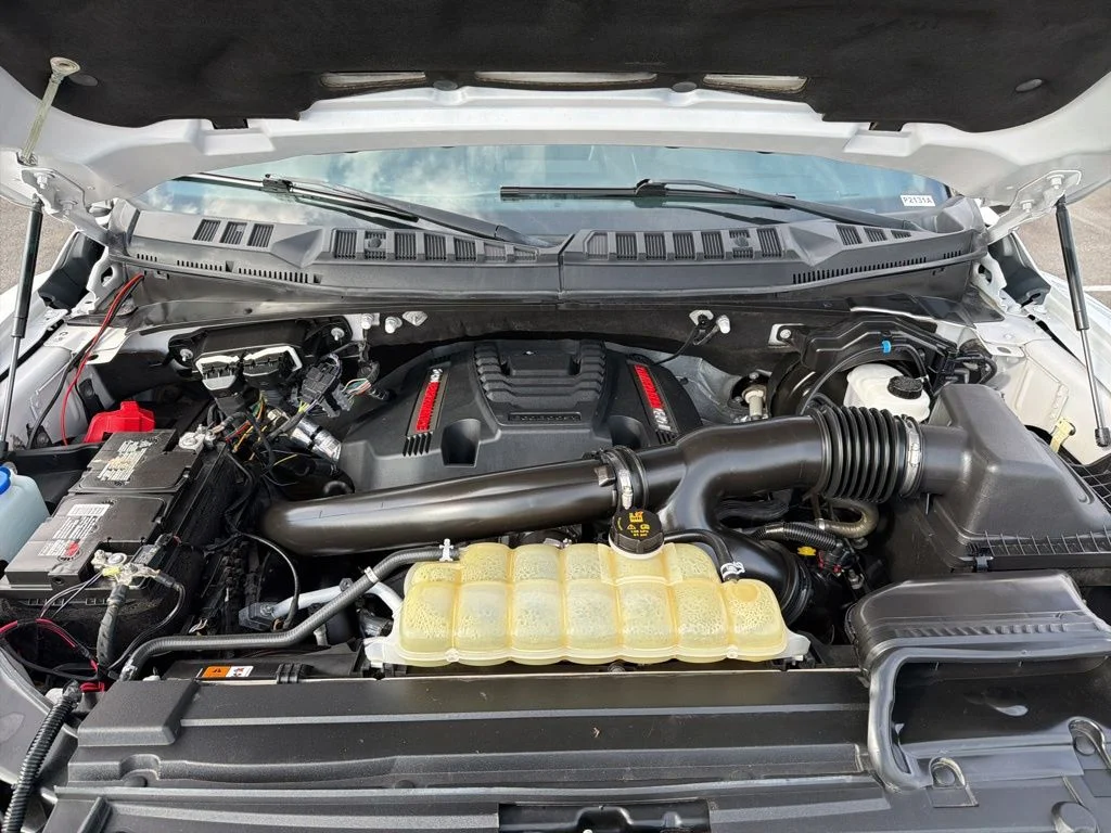 Used 2020 White Ford Raptor image 10