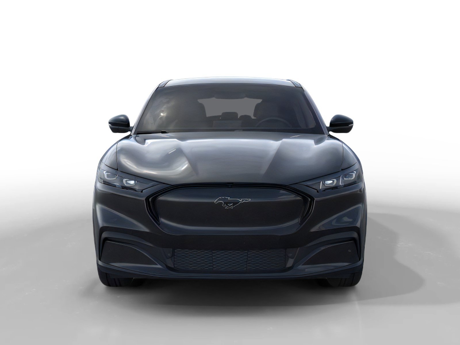 New 2026 Shadow Black Ford Premium image 6