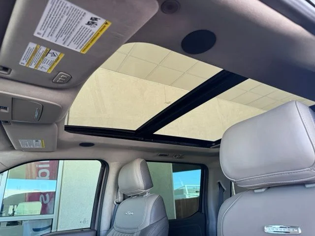 New 2026 Gray Ford Platinum image 24