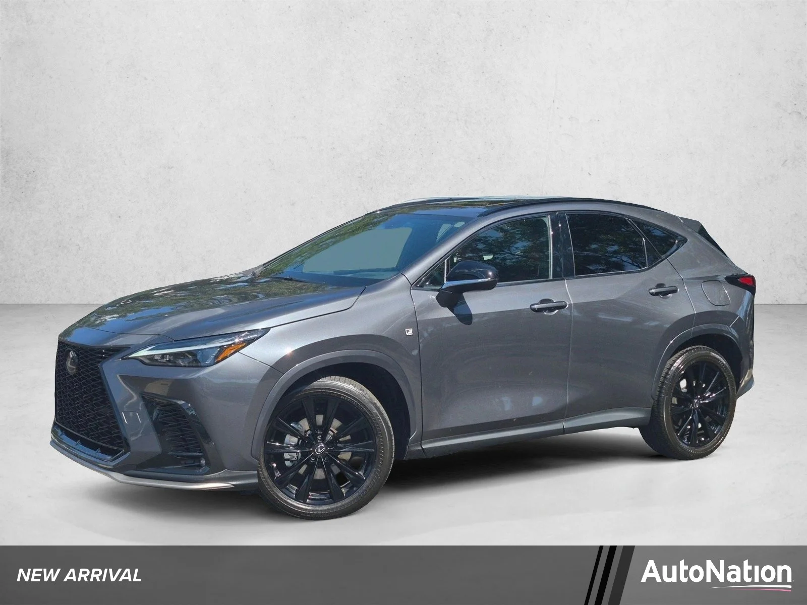 2024 Lexus NX