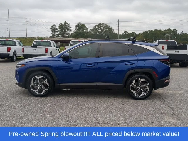 Used 2023 Blue Hyundai SEL image 10