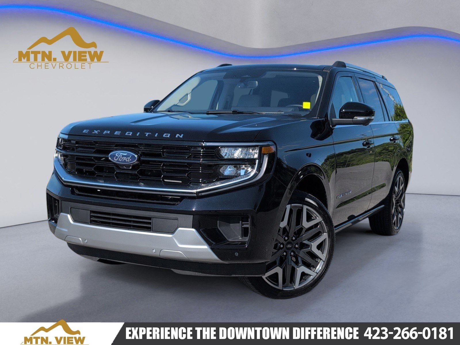2025 Ford Expedition Platinum 4x4's photo