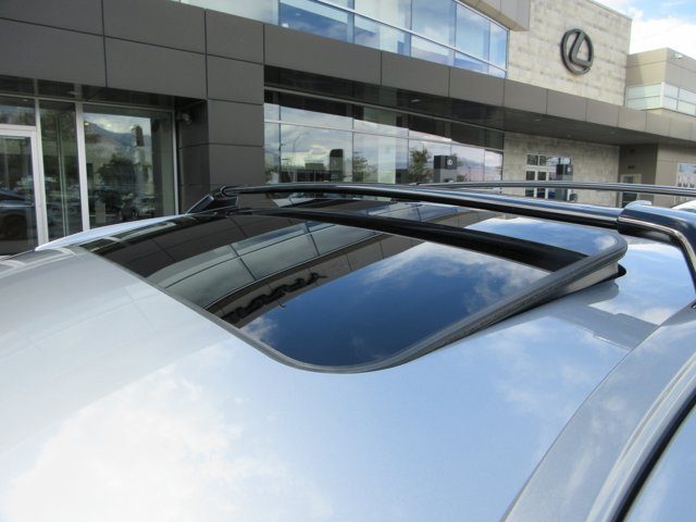 New 2026 Iridium Lexus PREMIUM image 23