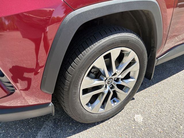 Used 2019 Red Toyota Limited image 10