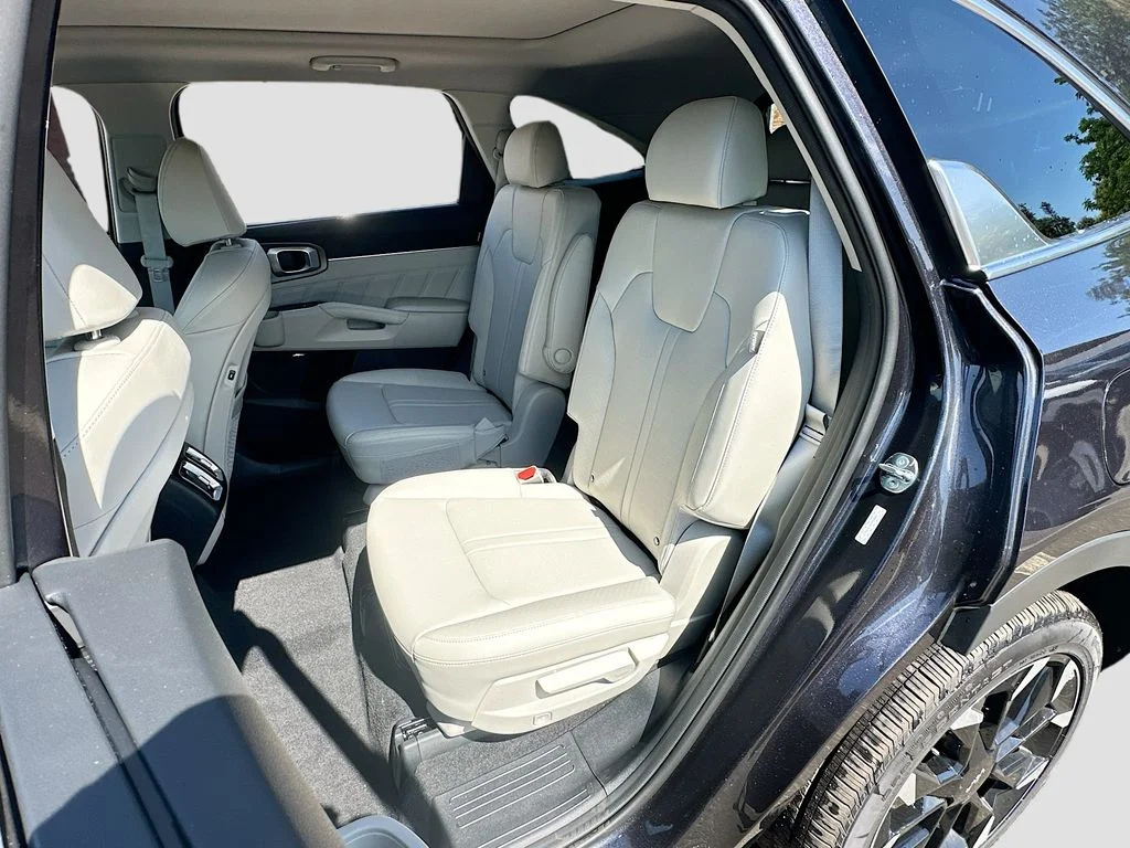 New 2026 Panthera Metal Kia SX image 26