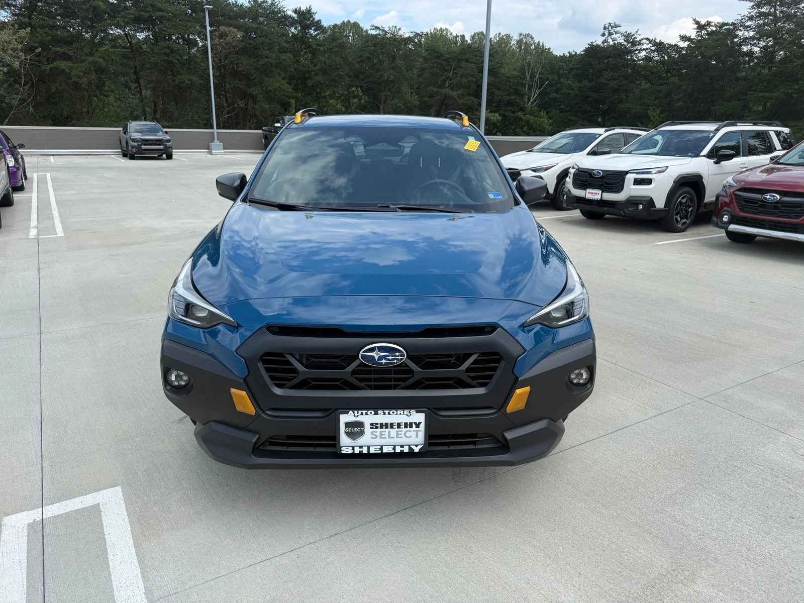 Used 2025 Blue Subaru Wilderness image 2