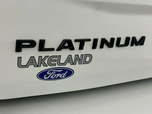 New 2026 Ford Expedition Platinum
