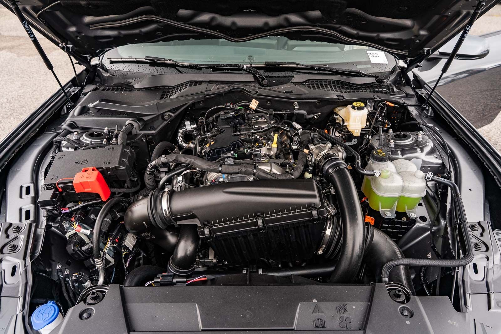 New 2026 Carbonized Gray Metallic Ford EcoBoost® Fastback image 14