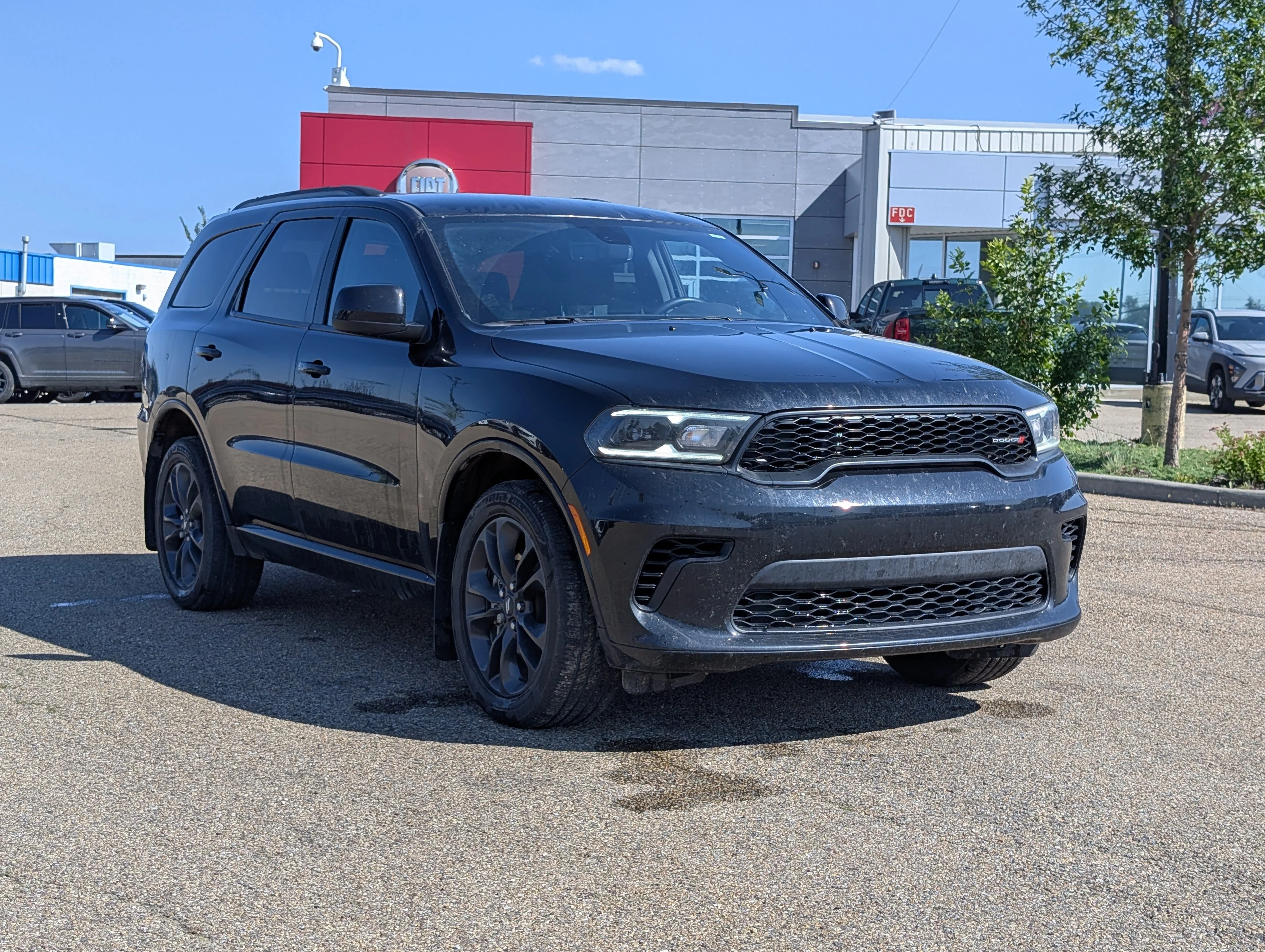 New 2025 DB Black Dodge GT image 9