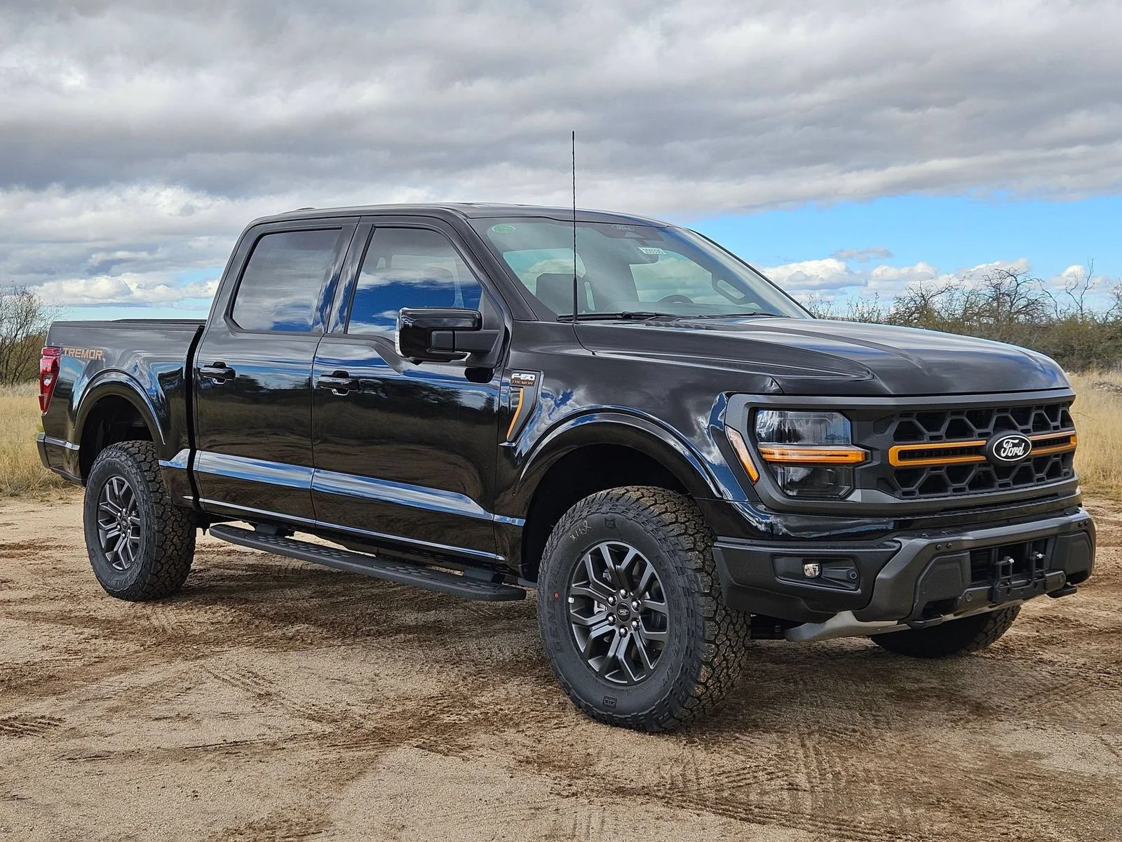 Used 2025 Black Metallic Ford Tremor image 3