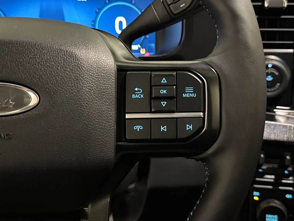 New 2026 Black Ford Platinum image 43
