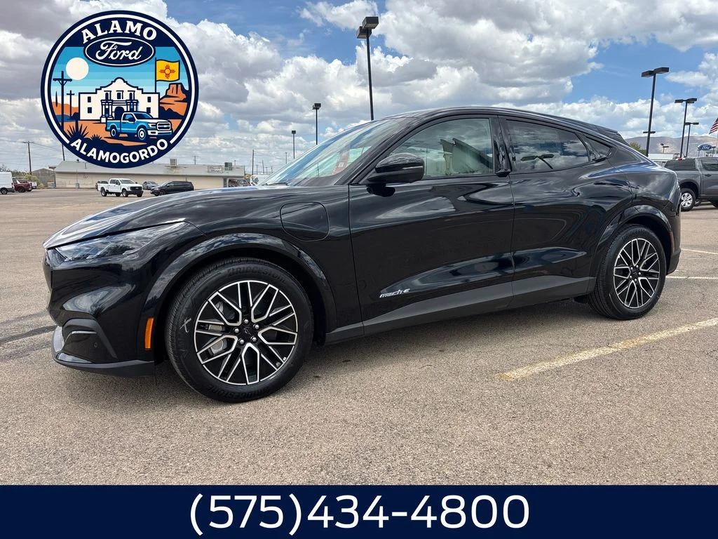 New 2026 Shadow Black Ford Premium image 1