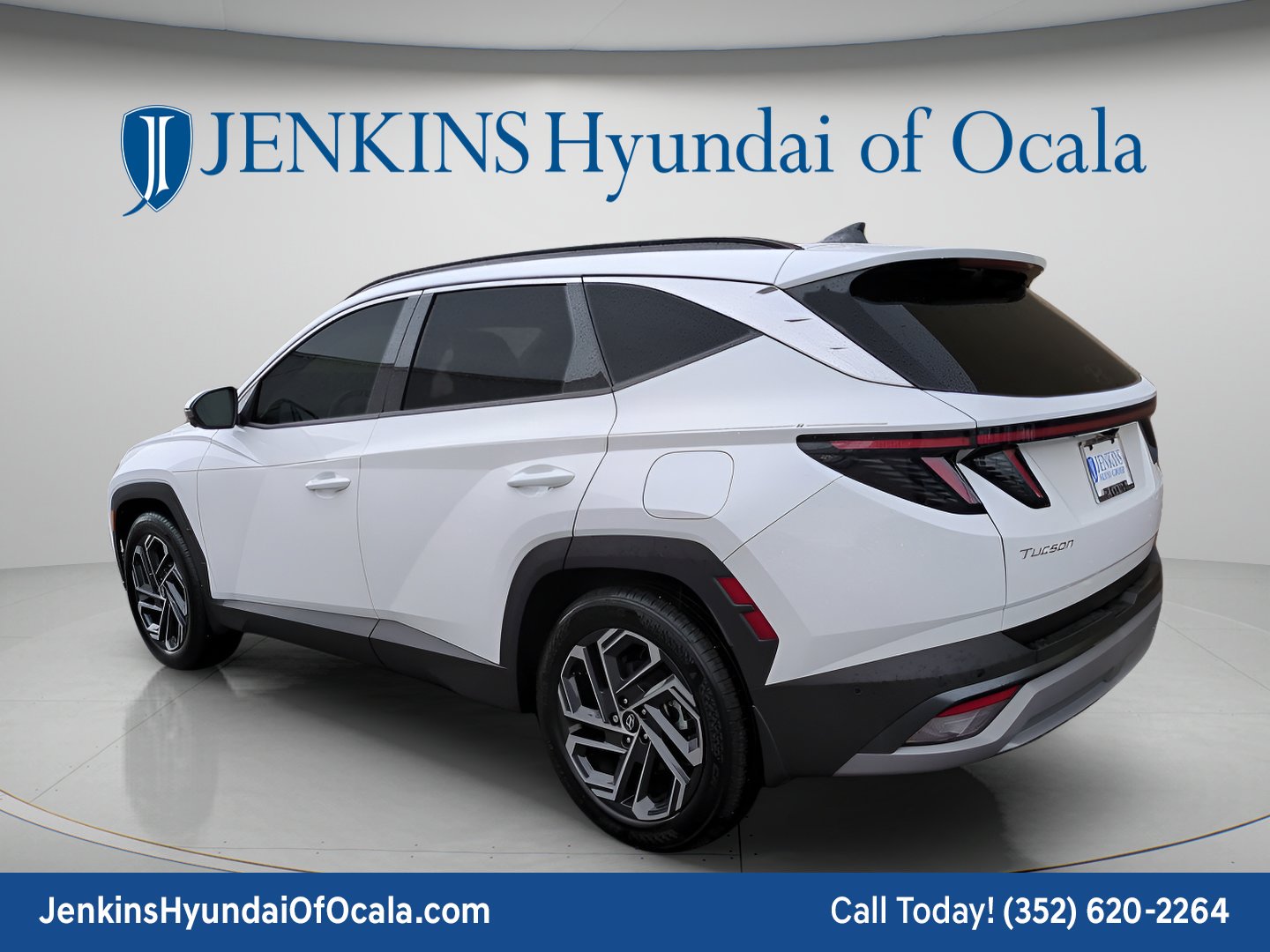 Used 2025 Serenity White Pearl Hyundai Limited image 5