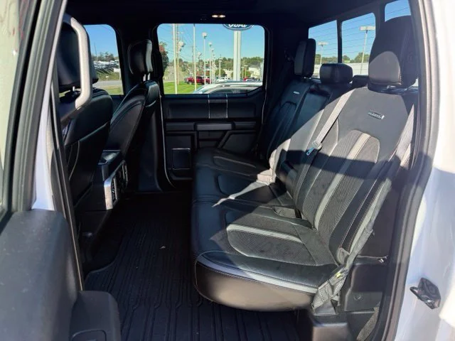 Used 2018 White Ford Platinum image 13