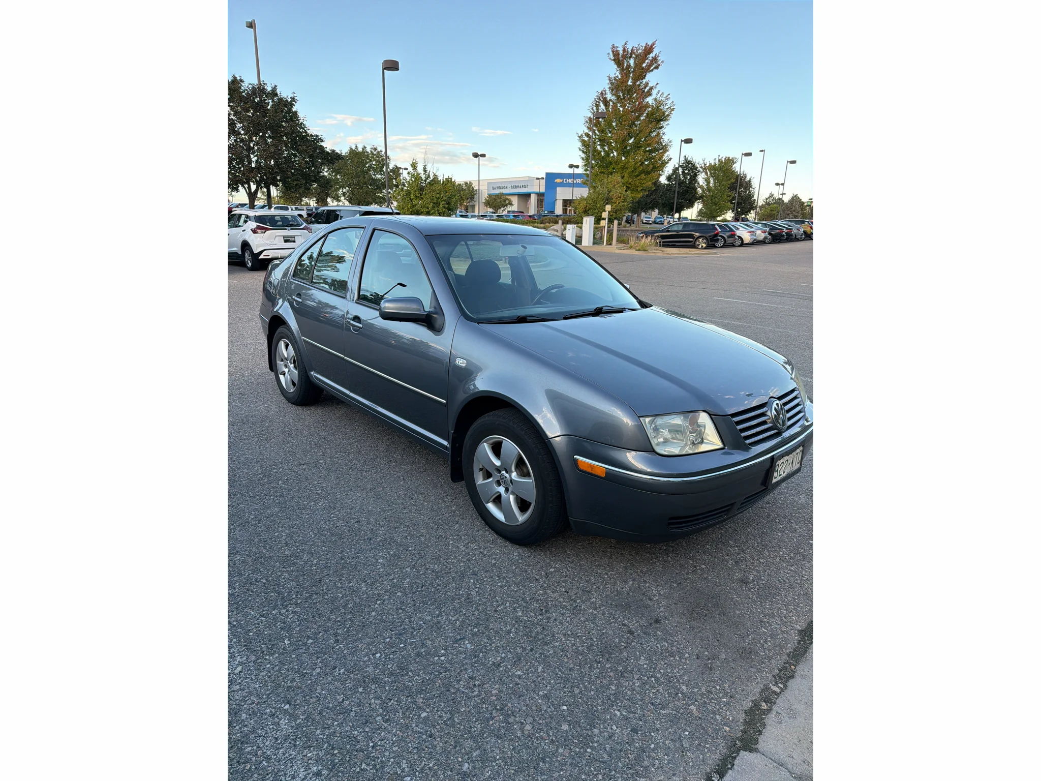 Used 2004 Brown Volkswagen GLS TDI image 6