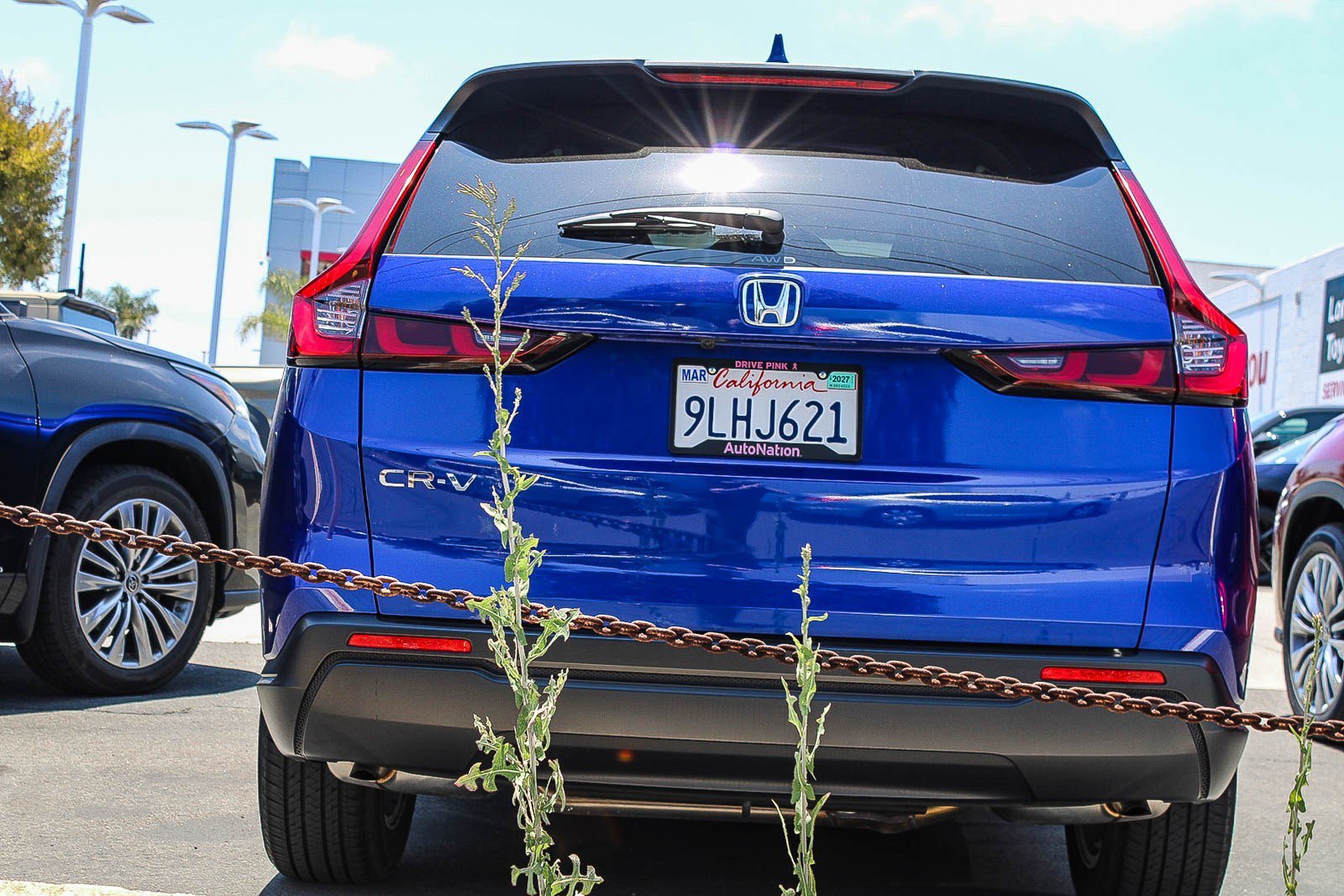 Used 2024 Canyon River Blue Metallic Honda EX image 7