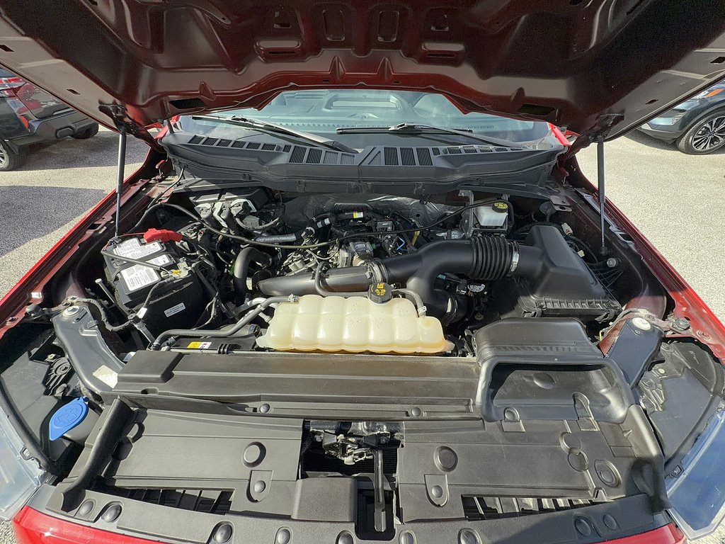 Certified Used 2023 Race Red Ford XL image 24