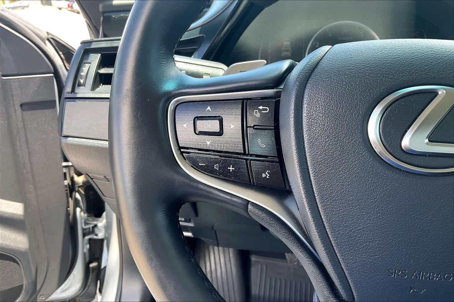 Used 2025 Iridium Lexus  image 22