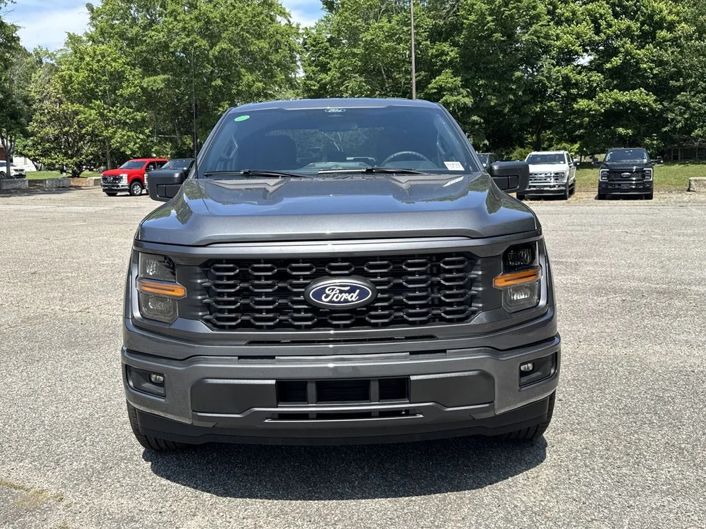 New 2026 Gray Ford STX image 2