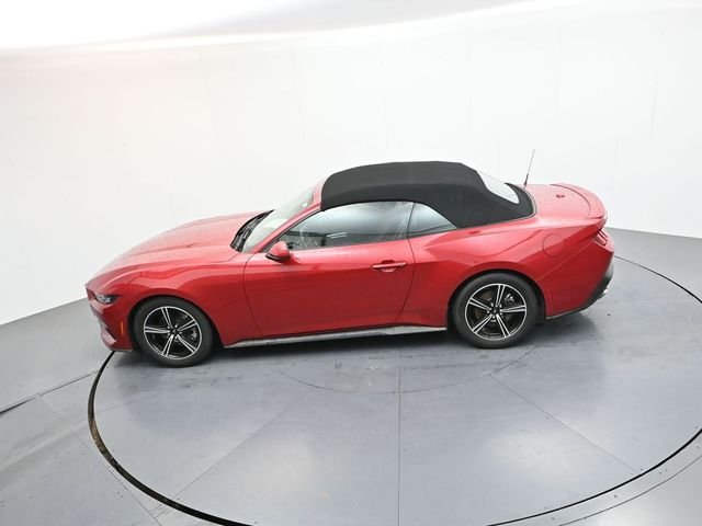 Used 2024 Red Ford EcoBoost Premium image 17