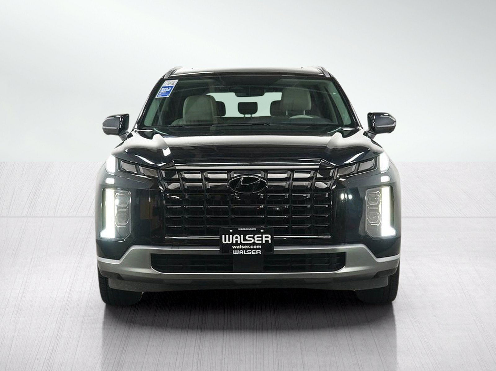2024 Hyundai Palisade Limited - Photo 8