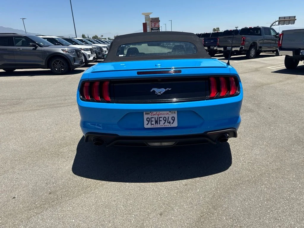 Used 2023 Grabber Blue Ford EcoBoost Premium image 6