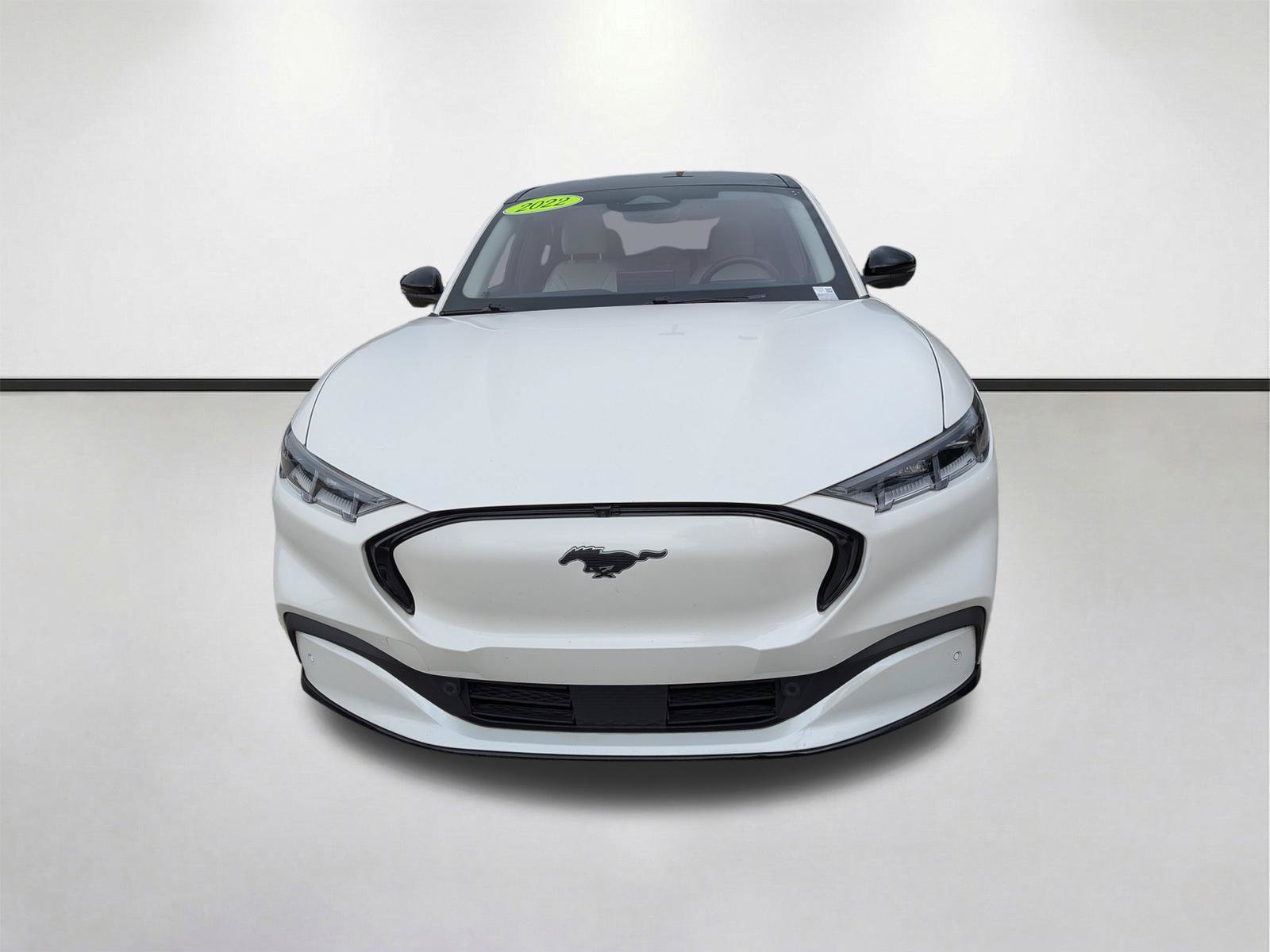 2022 Ford Mustang Mach-E Premium RWD - Photo 10