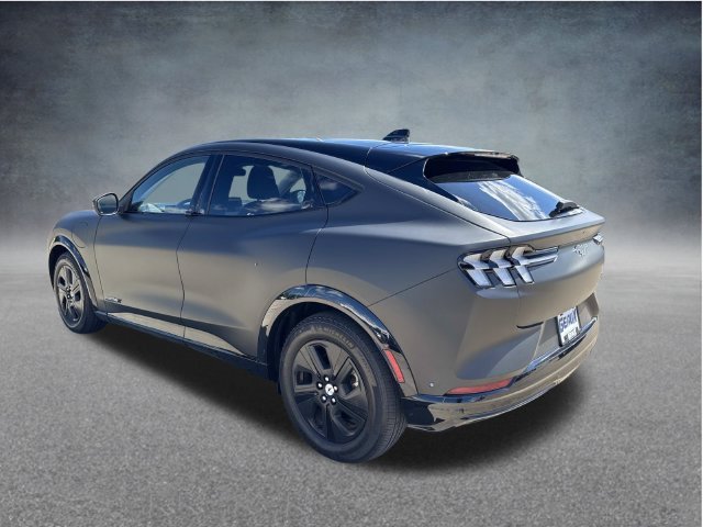 Used 2023 Blue Ford California Route 1 image 16