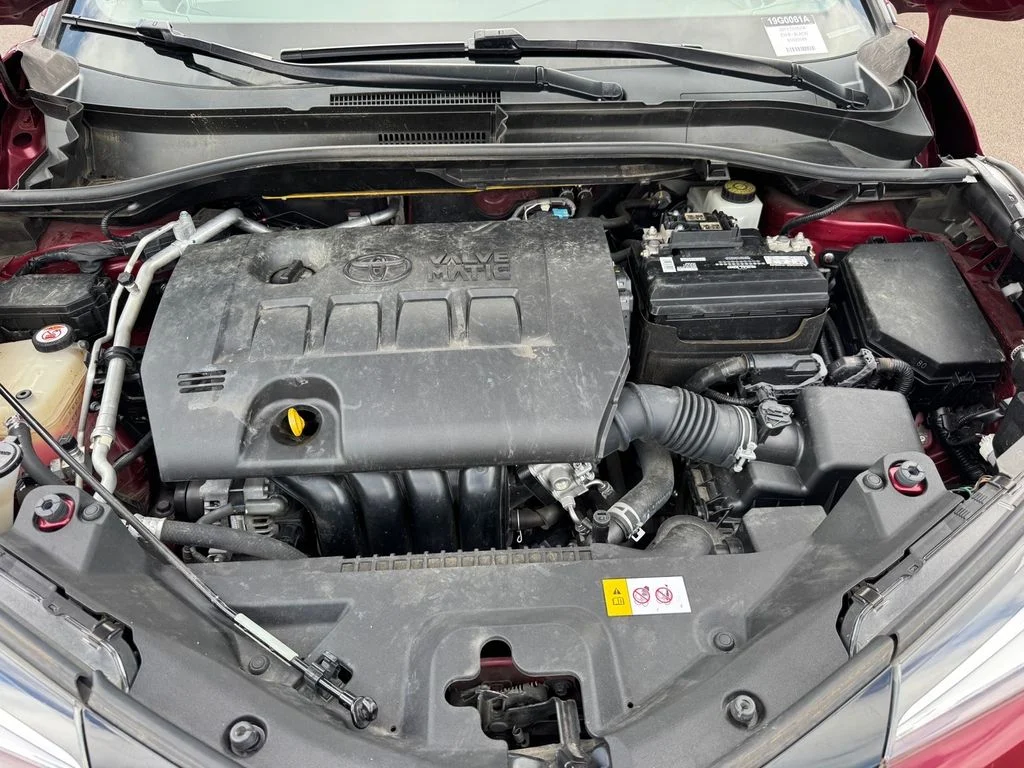 Used 2019 Red Toyota LE image 13