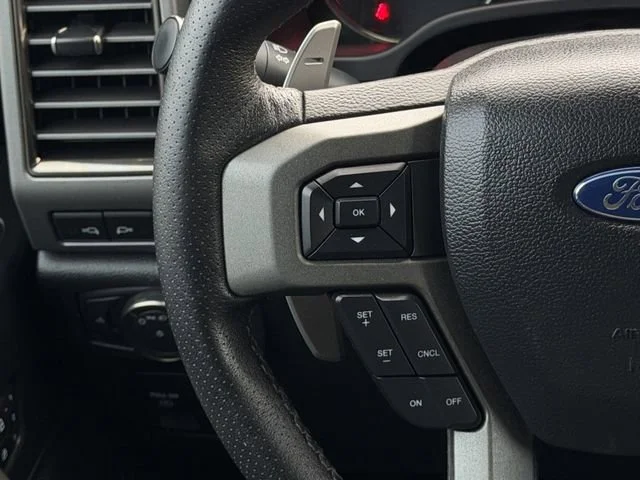 2019 Ford F-150 Raptor - Photo 15
