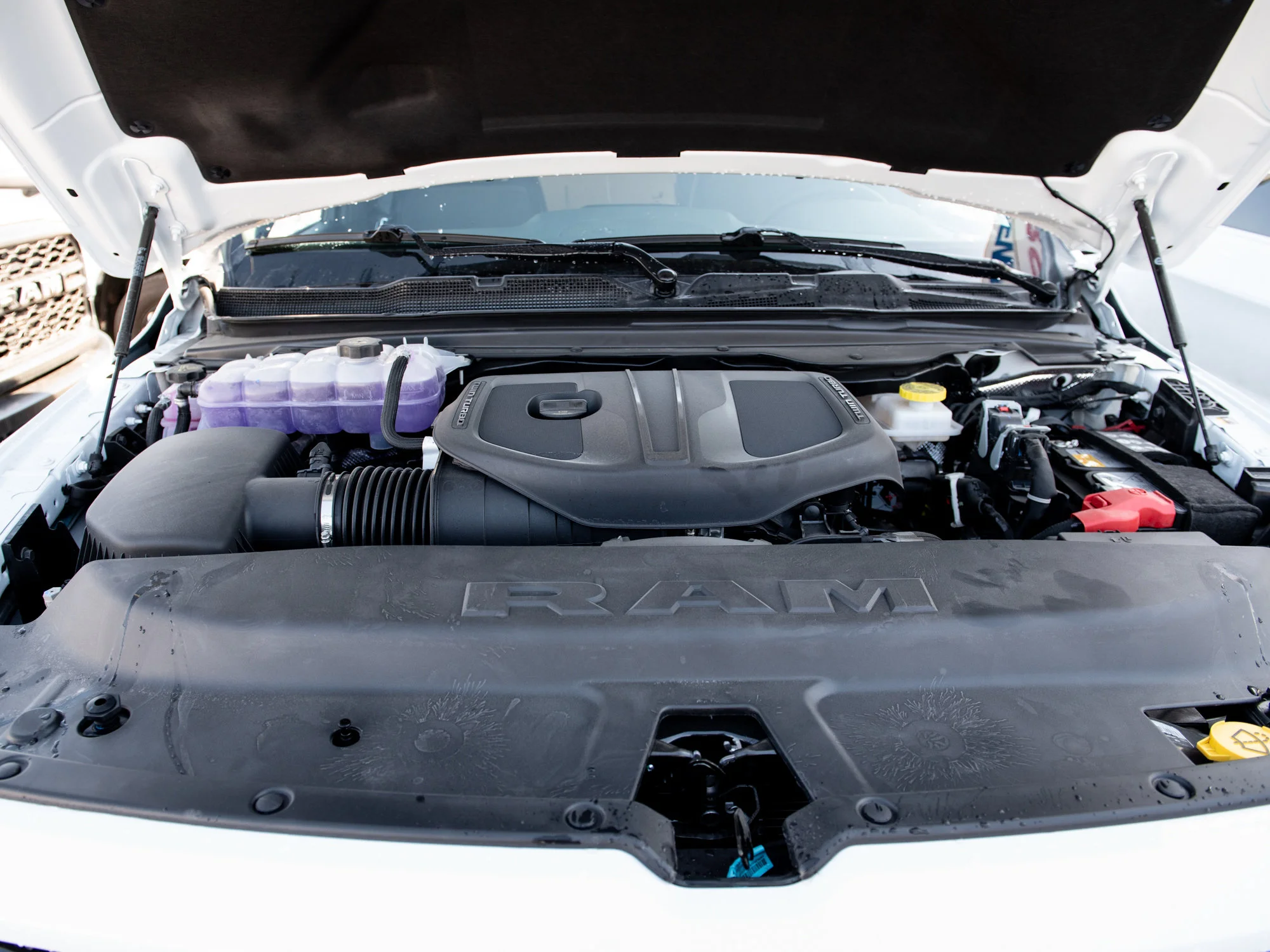 New 2026 White RAM Sport* image 9