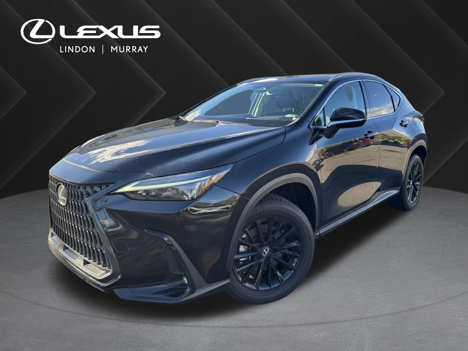 2024 Lexus NX