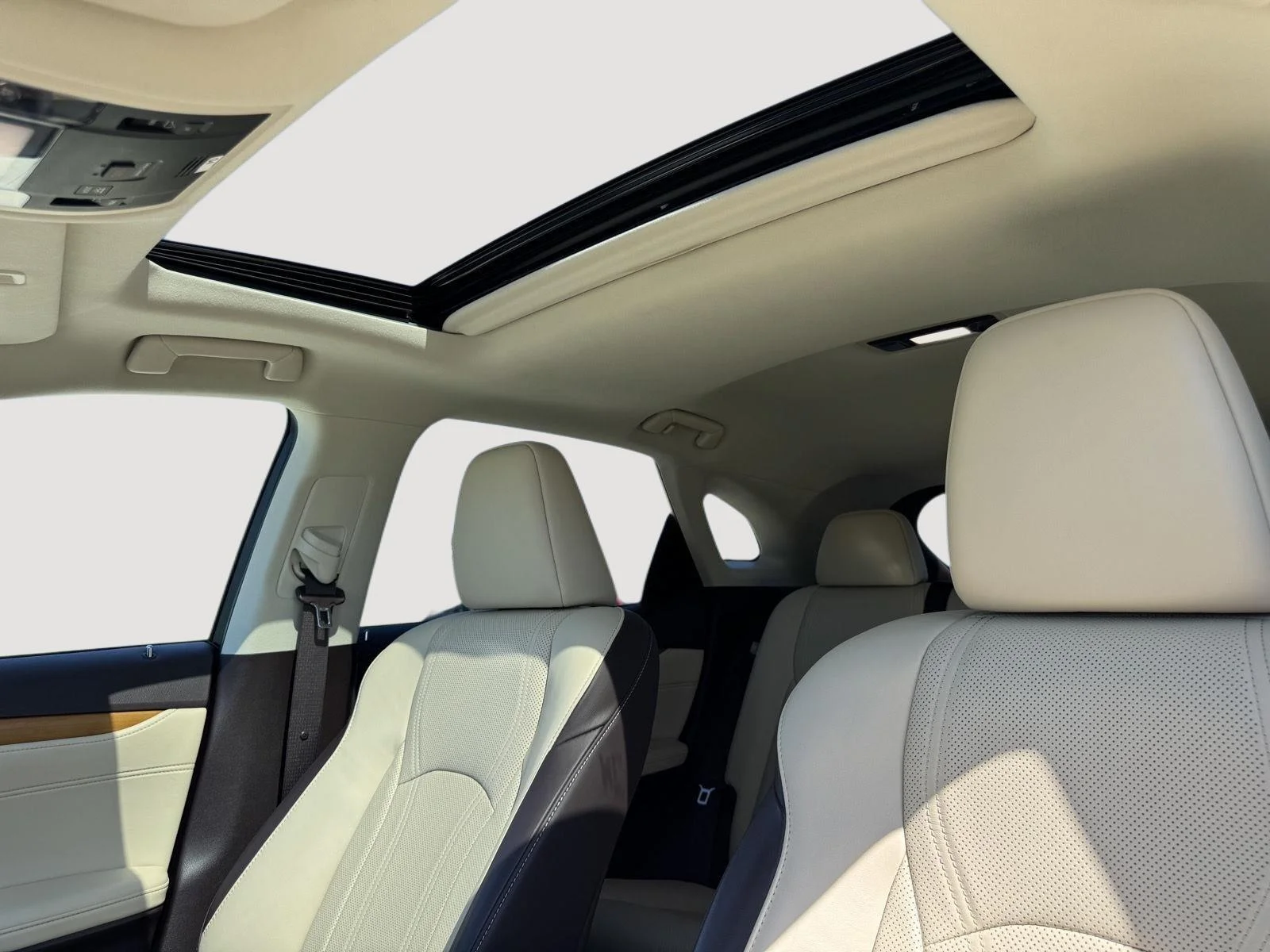 Used 2019 Satin Cashmere Metallic Lexus RX 350 image 3