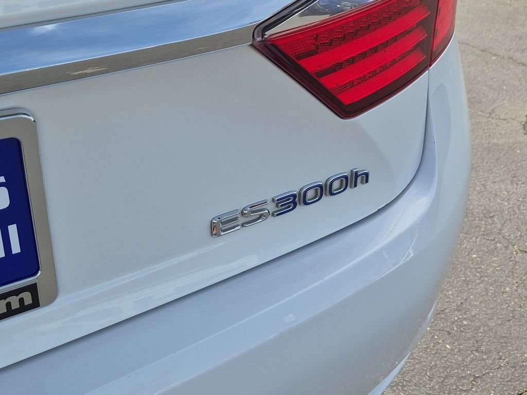2014 Lexus ES 300h - Photo 10