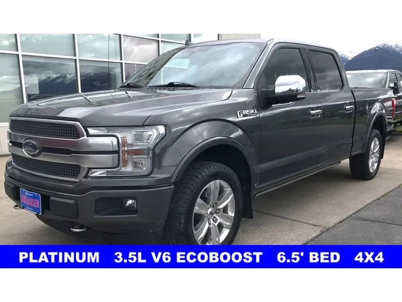 Certified Used 2020 Magnetic Metallic Ford Platinum image 4