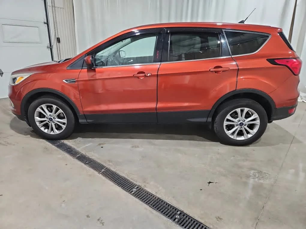Used 2019 Sedona Orange Metallic Ford SE image 3