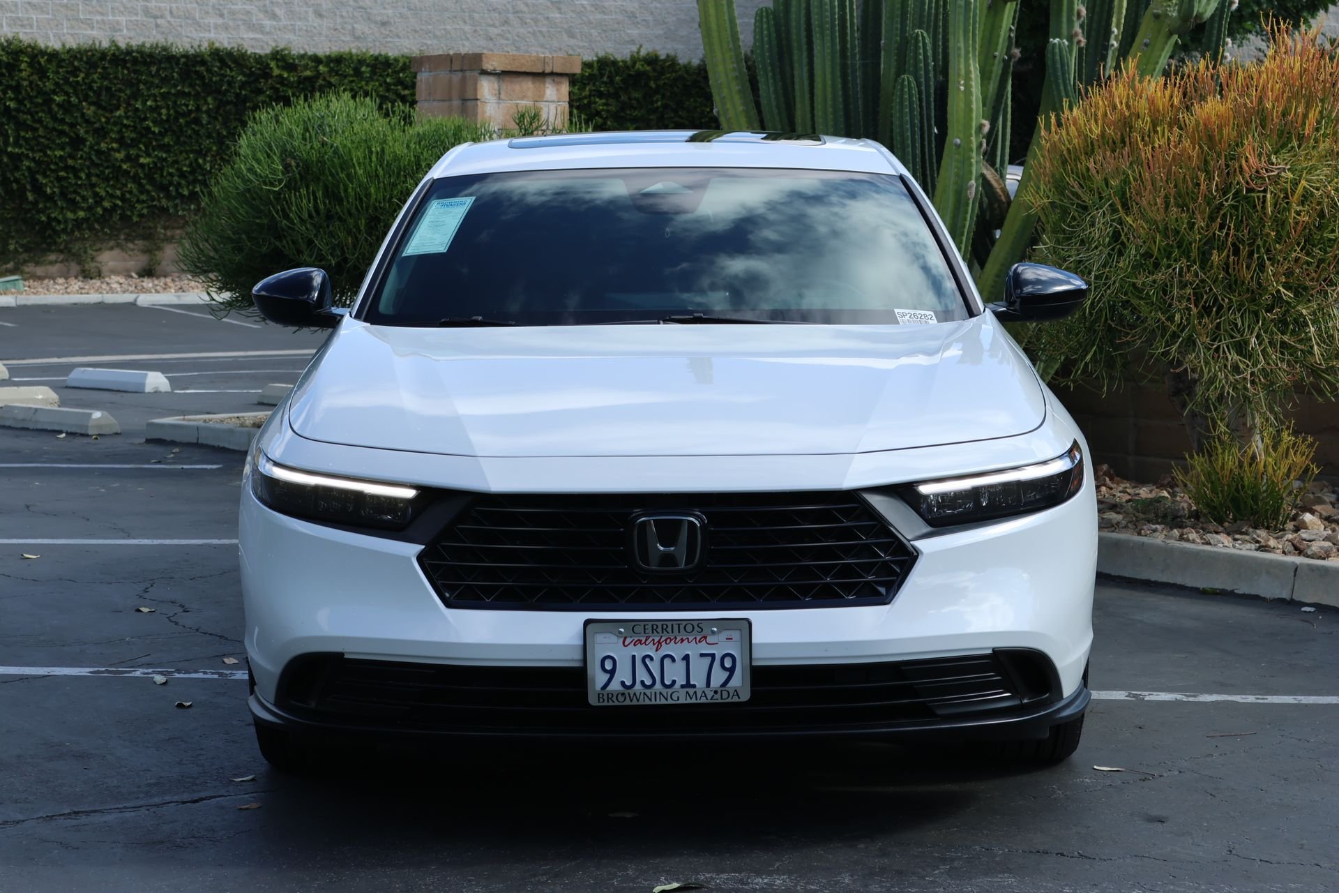 Used 2024 White Honda Sport image 3