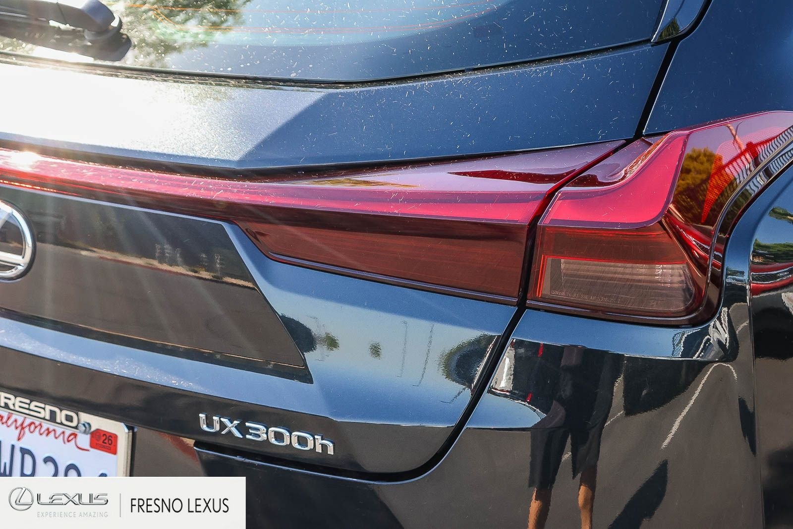 Certified Used 2025 Black Lexus 300h image 7