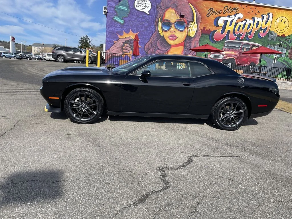 2C3CDZKG3PH617113
