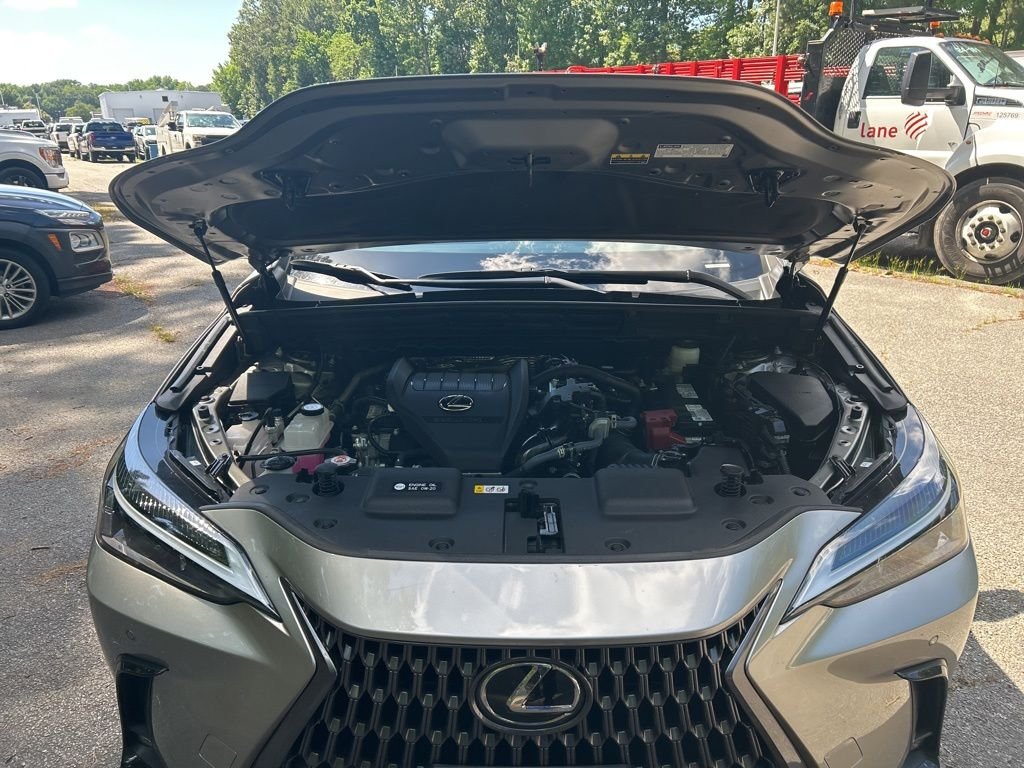 2024 Lexus NX 350 - Photo 12