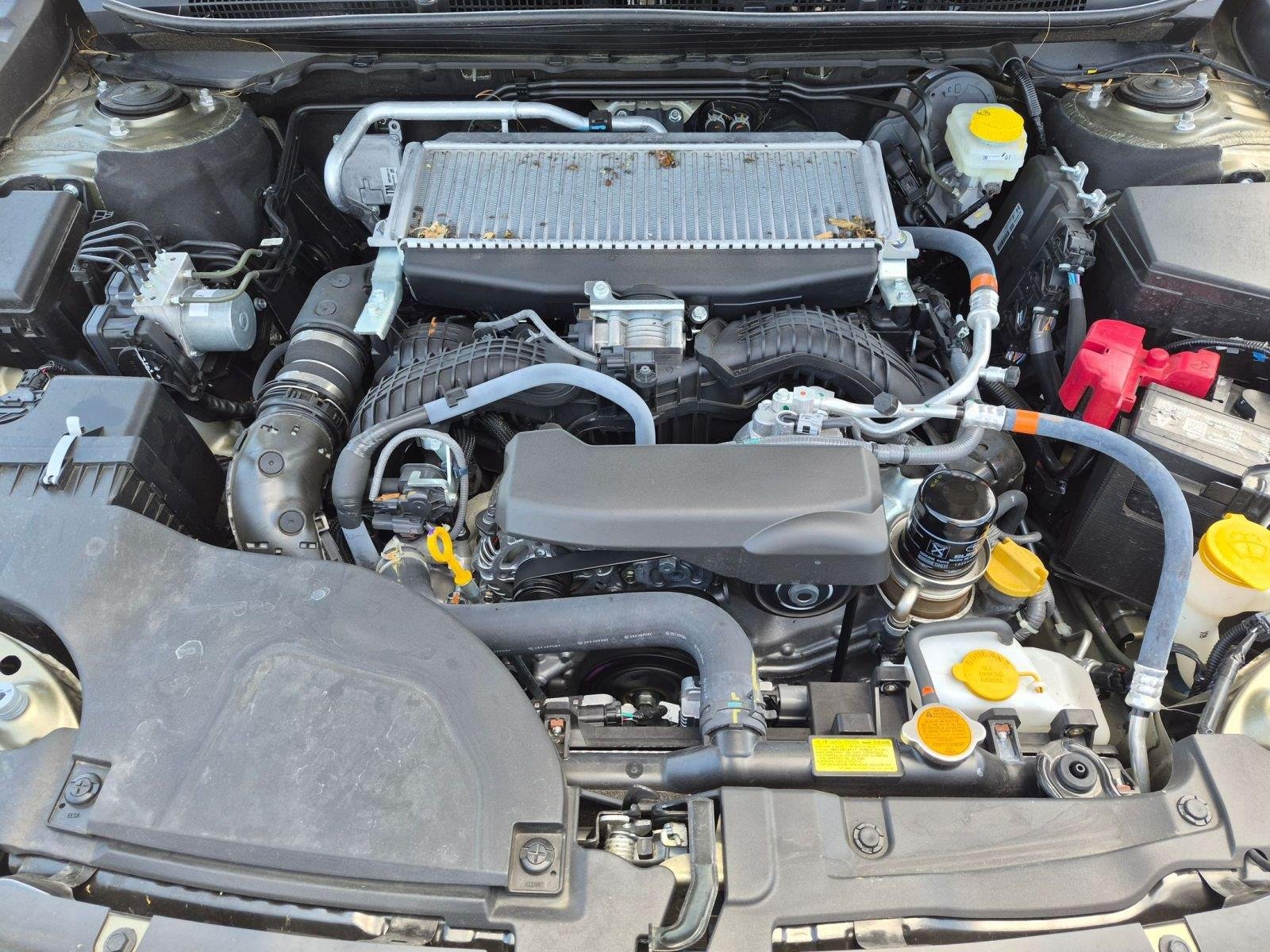 Used 2025  Subaru Wilderness image 39