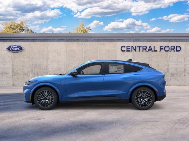 New 2026 Velocity Blue Metallic Ford Premium image 3