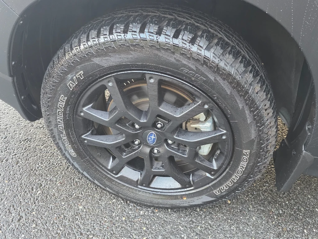 2025 Subaru Crosstrek Wilderness - Photo 35