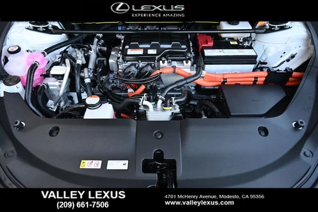 Certified Used 2025 EMINENT WHITE PEARL Lexus 300e Luxury image 23